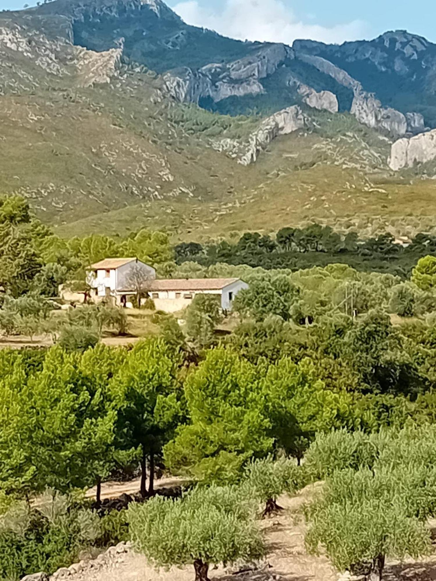 Casa Solans - Casa Rural Rasquera Buitenkant foto